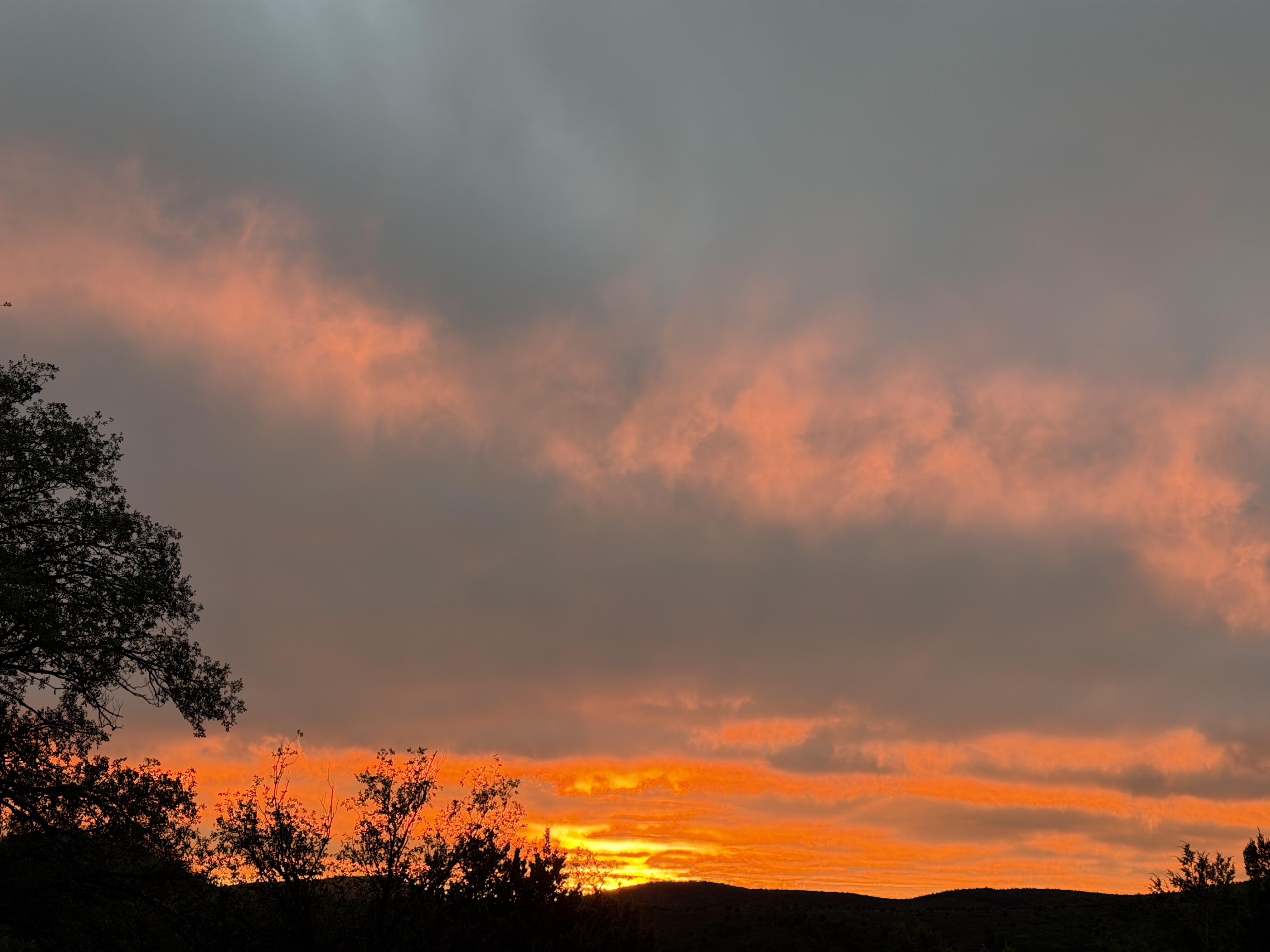 Sunset landscape with tree silhouettes